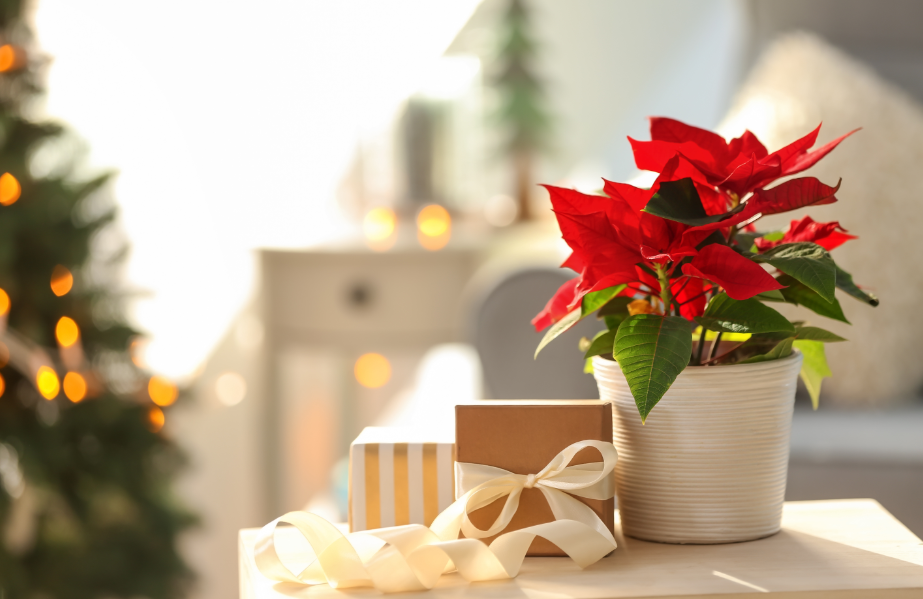 Vai decorar a sua casa para o Natal ou ainda preparar a ceia na sua casa? Que tal descobrir como decorar a mesa de Natal aqui no Blog Reppara!? 